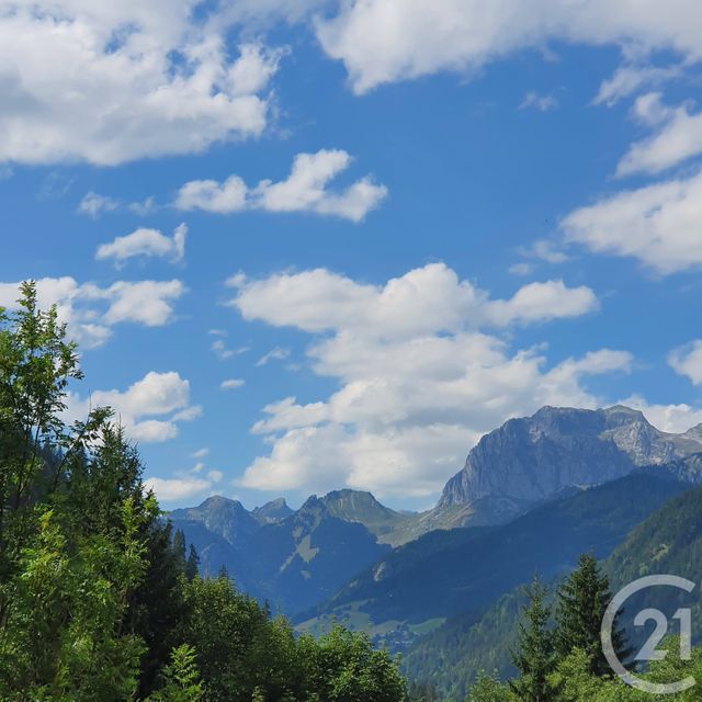 Appartement F1 à vendre - 1 pièce - 15.4 m2 - CHATEL - 74 - RHONE-ALPES - Century 21 La Chapelle Immo